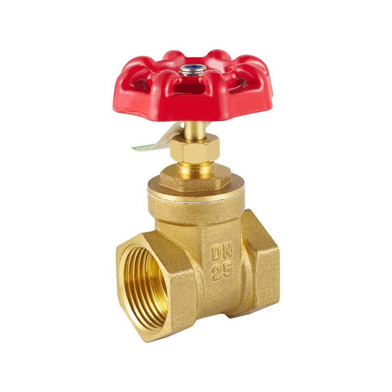 Boutique Gate Valve with Red Handle