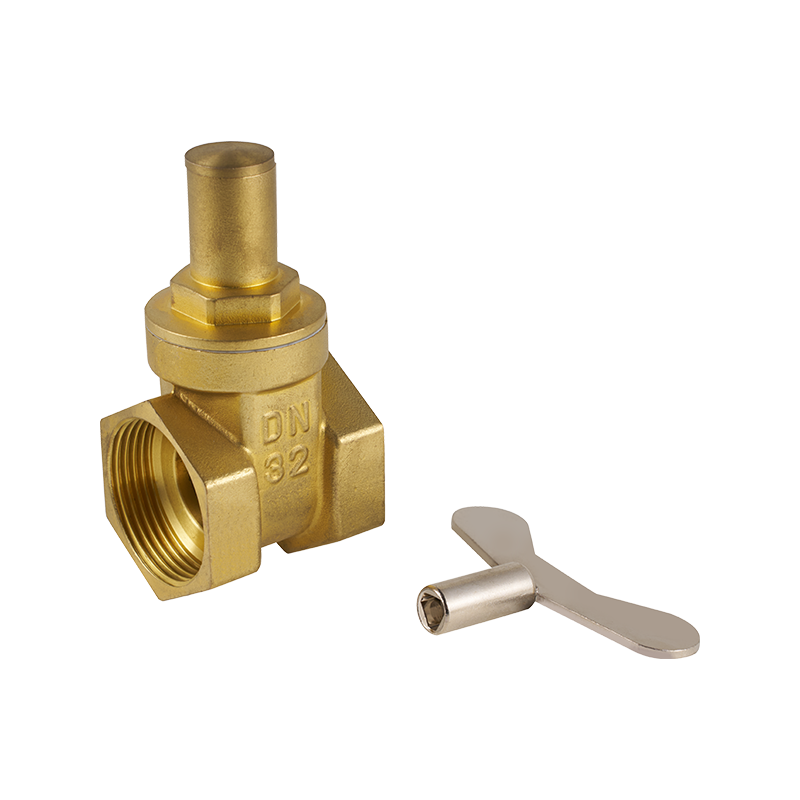 Brass Internal Thread Lock Gate Valve