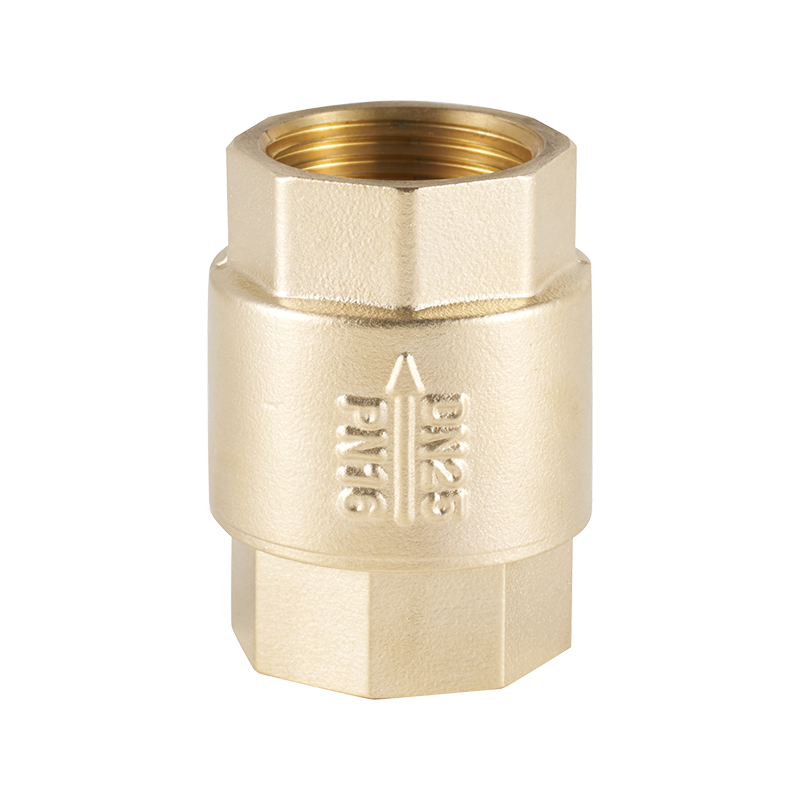 Internal Thread Vertical Regulating Check Valve