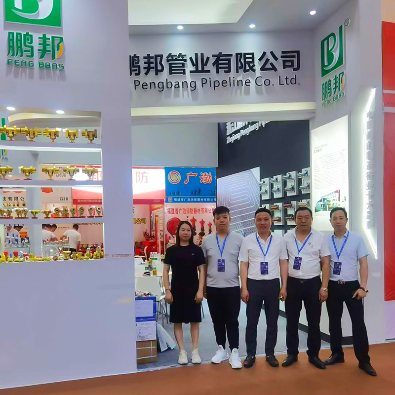 Exploring New Opportunities at Fujian 2020 Exhibition
