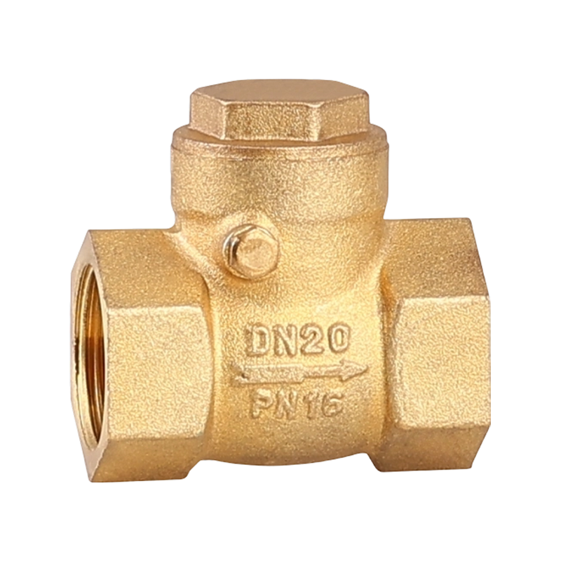 1 Inch Brass Swing Check Valve for Water