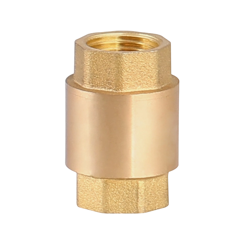 1/2-2 Inch Brass Valve Core Vertical Check Valve