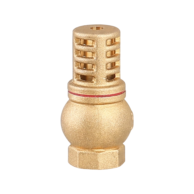 Brass One-way Check Valve